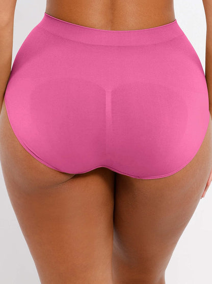 Ashley Brief – Seamless High-Waist Shaping Brief with Tummy Control and Antibacterial Protection
