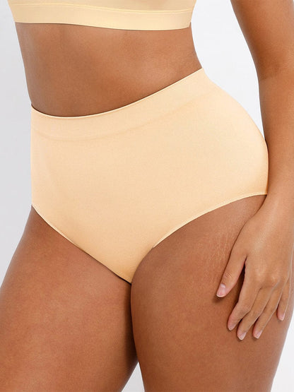 Ashley Brief – Seamless High-Waist Shaping Brief with Tummy Control and Antibacterial Protection